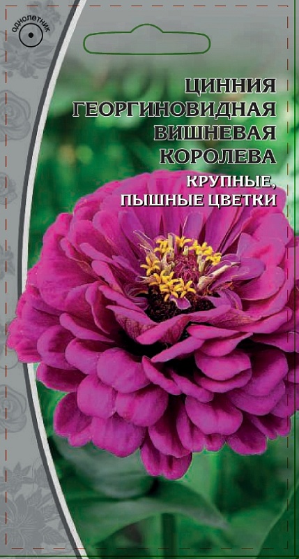 Цинния георгиновидная Вишневая королева 0,5 гр