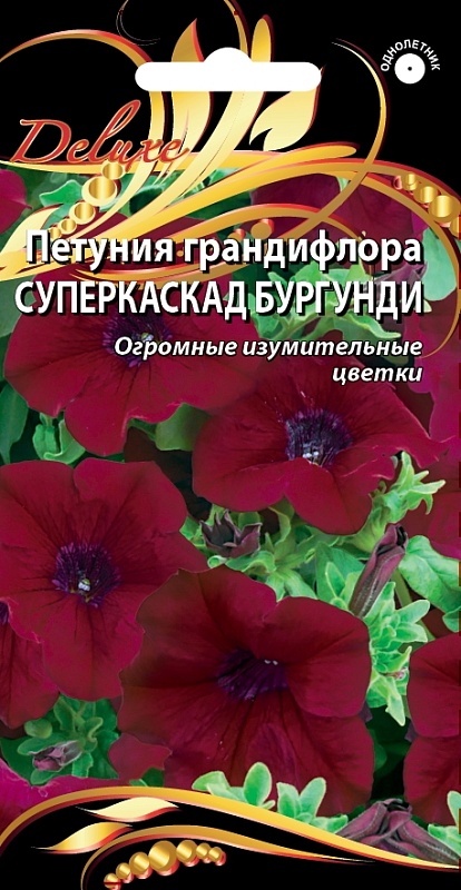 Петуния грандифлора Суперкаскад Бургунди 10 шт