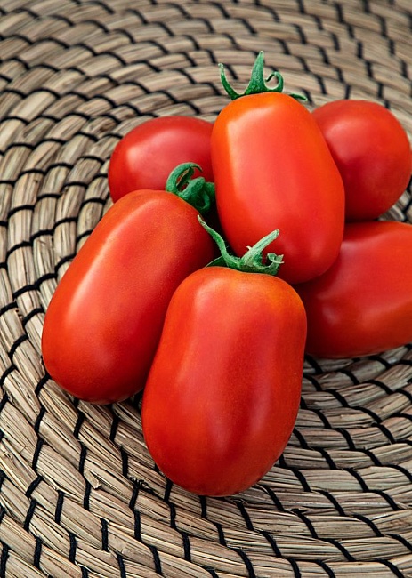 Томат Боец 0,05 г цв.п (Сибирская серия) КЭШБЭК 25%