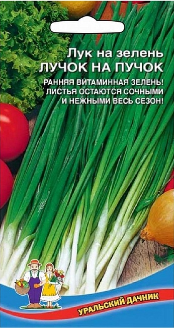 Лук на зелень Лучок на пучок (УД) 0,25 гр цв.п.