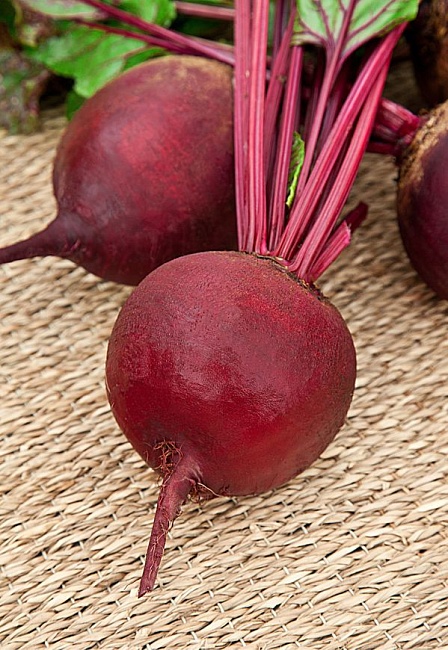 Свекла Мулатка 2 гр цв.п