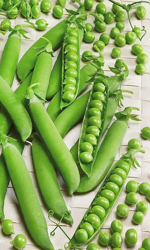 Горох Детская радость-сахарный (УД) 5 гр цв.п.