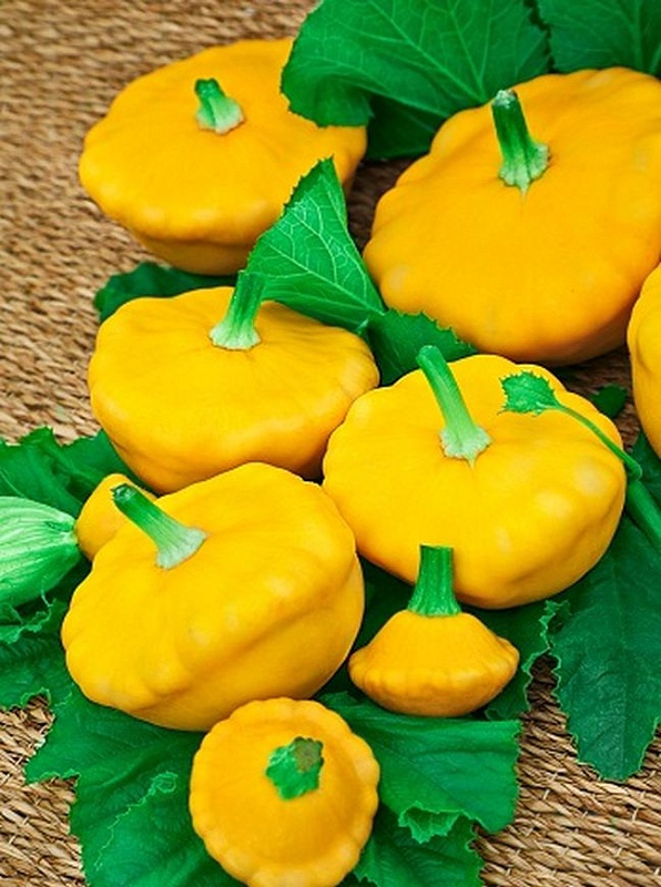 Патиссон Барокко (Селекция "ВХ") 1 гр цв.п