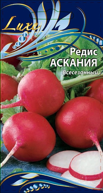 Редис Аскания 1 г цв.п.