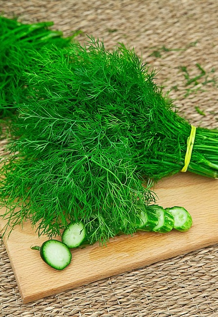 Укроп Аллигатор 2 гр ц.п