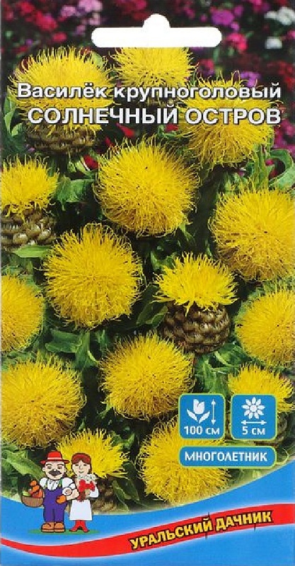 Василек Солнечный остров (УД) 0,15 гр. цв.п