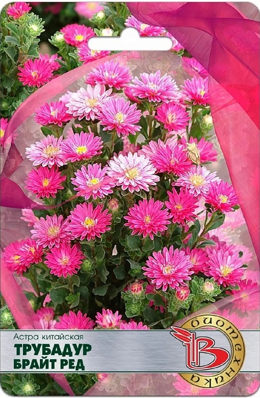 Астра Трубадур Брайт Ред 20 шт