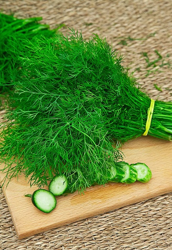 Капуста белокочанная КОЛОБОК F1 и Укроп кустовой АЛЛИГАТОР