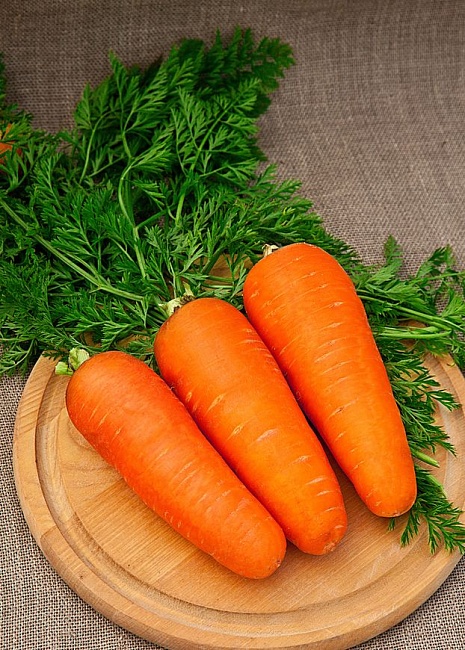 Морковь Королева осени  2 гр б.п.