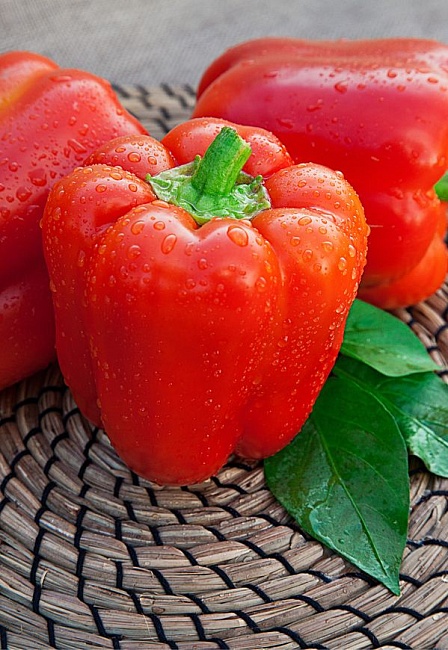 Перец сладкий Кубович F1 (Селекция "ВХ") 0,1 гр цв.п  КЭШБЭК 25%