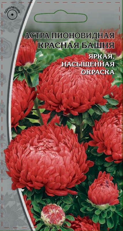 Астра пионовидная Красная башня 0,2 гр