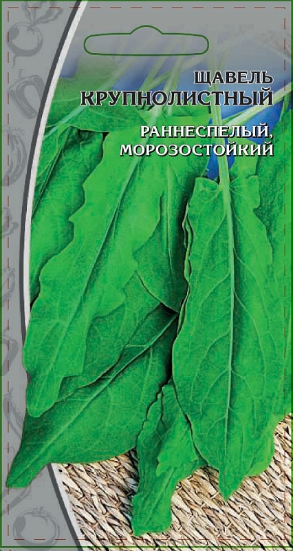Щавель Крупнолистный 1 гр цв.п