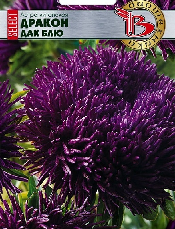 Астра Дракон селект Дак Блю 30 шт