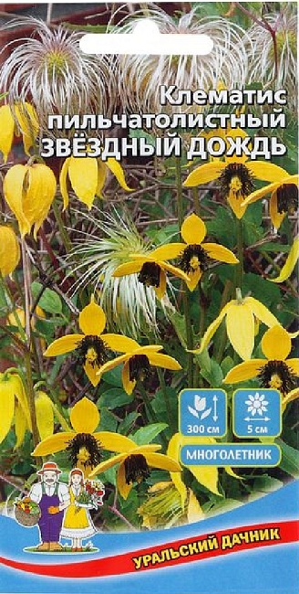 Клематис пильчатолистный Звездный Дождь (УД) цв.п.12 шт 