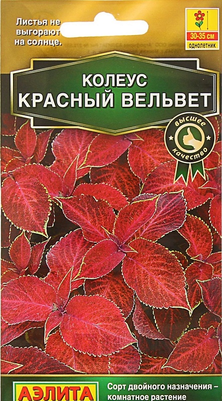 Колеус блюме Красный вельвет (Аэлита) 5 шт