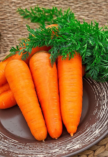 Морковь Курода Шантанэ 1 гр ц.п.