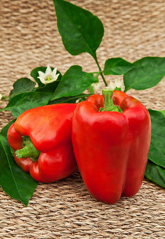 Перец сладкий Красное чудо 0,1 гр цв.п