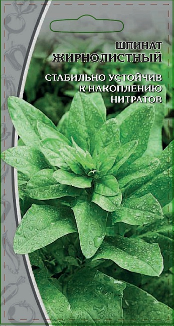 Шпинат Жирнолистный 1 гр цв.п