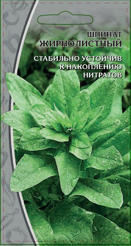 Шпинат Жирнолистный 1 гр цв.п