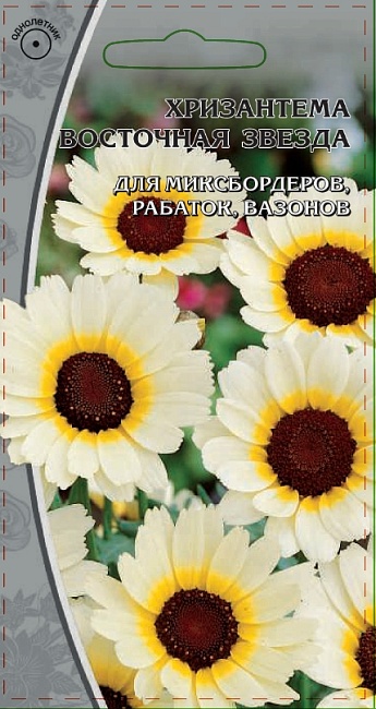 Хризантема Восточная звезда  0,5 гр