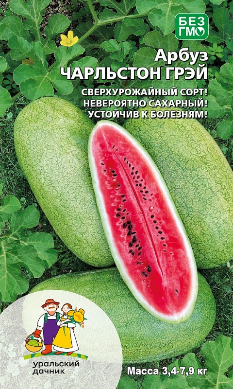 Арбуз Чарльстон Грэй (УД) 10 шт цв п 