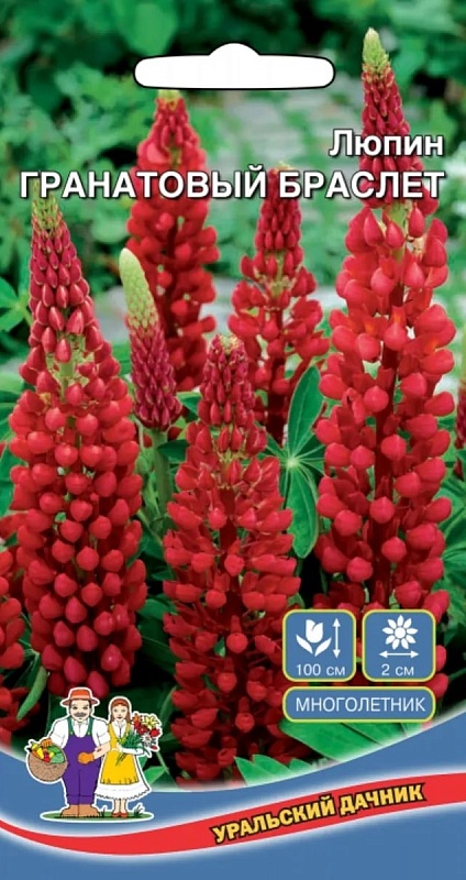 Люпин Гранатовый браслет (УД) 0,25 гр 