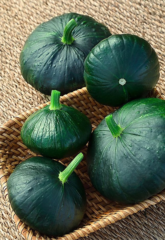 Патиссон Бутуз (Селекция "ВХ") 2 гр цв.п