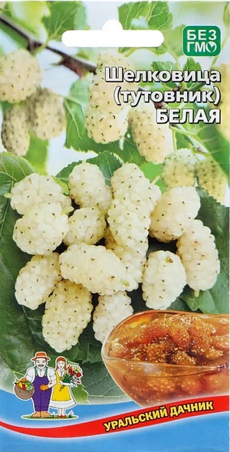 Шелковица(тутовник) Белая (УД) 0,15 гр