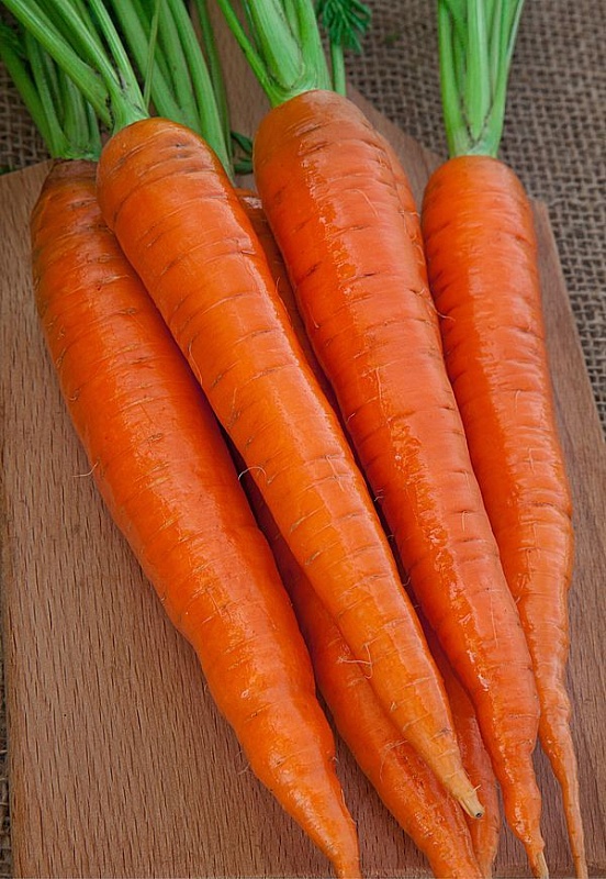 Морковь Канада  F1  0,5 гр цв.п.