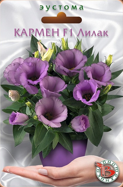 Эустома (лизиантус) горшечная Кармен F1 Лилак 5 шт