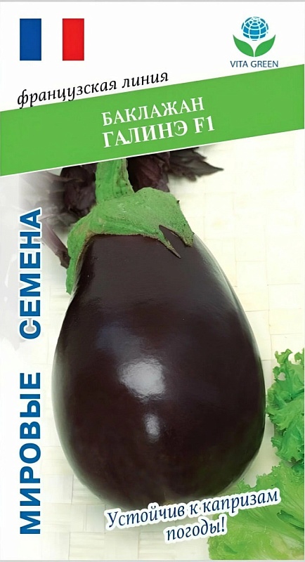 Баклажан Галинэ F1 (Clause)7шт цв.п.