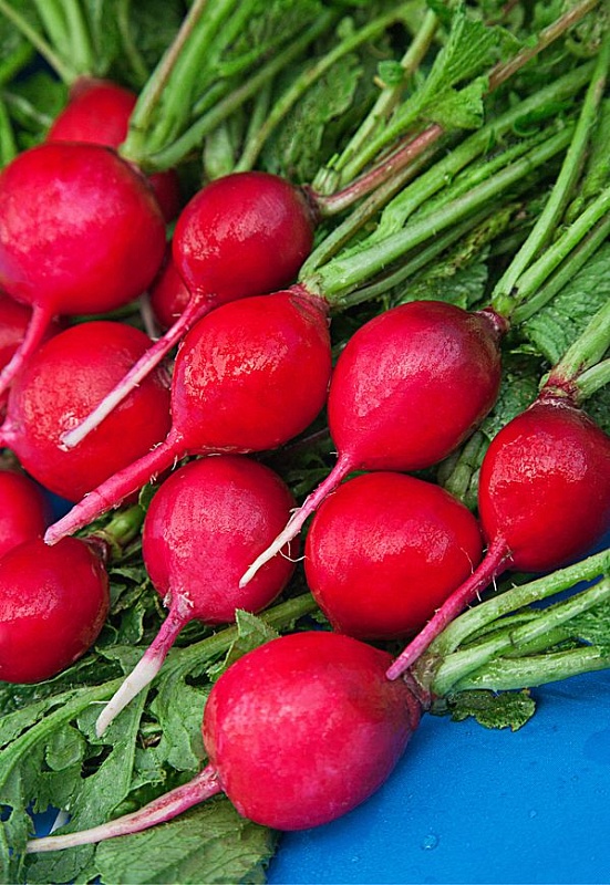 Редис Вера МС 3 гр цв.п.