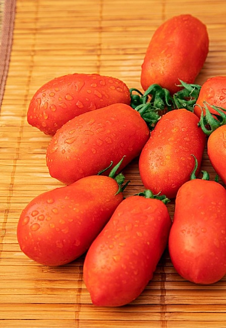 Томат Маруся 0,1 гр цв.п