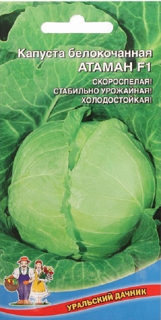 Капуста белокочанная Атаман (УД) F1 0,2 гр цв.п.