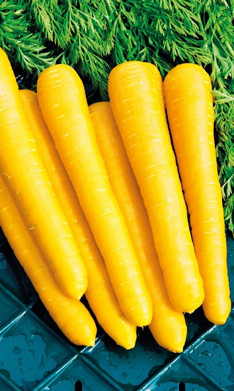 Морковь Чудо чудное (УД) 0,65 гр цв.п.