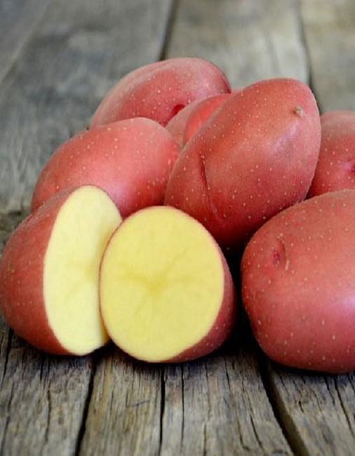 Картофель Краса, элита 