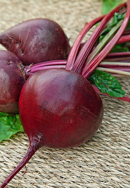 Свекла Бордо 237 2 гр цв.п (Био-старт)