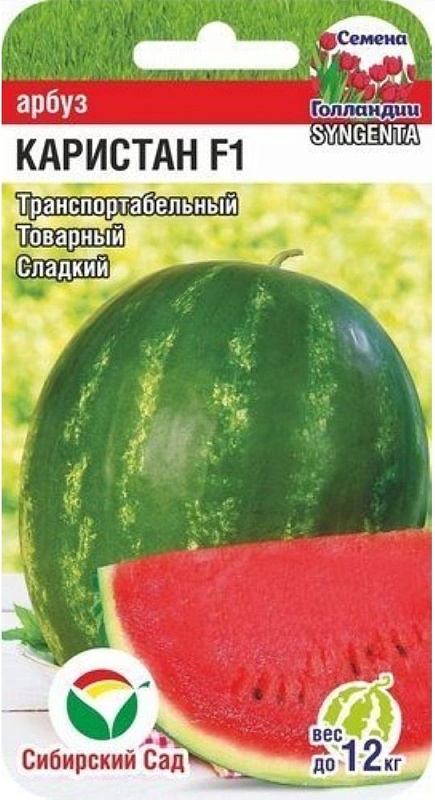 Арбуз Каристан F1 (Syngenta) 5шт цв.п.