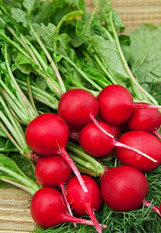 Редис Престо 1 гр б.п.