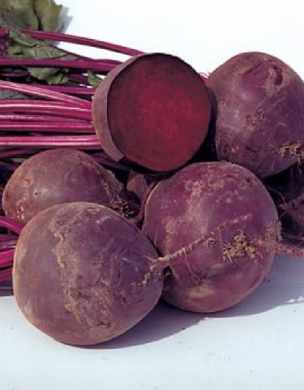 Свекла Водан F1 (Bejo Zaden) 1г цв.п.