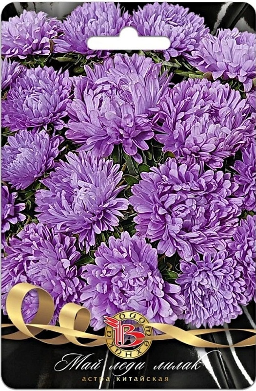 Астра Май Леди Лилак 30 шт