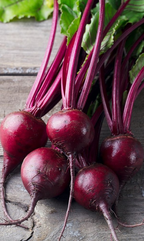 Свекла Уральский Рафинад F1 (УД) 2 гр  цв.п