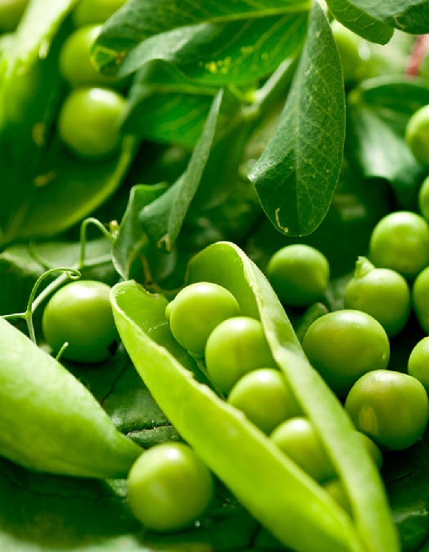 Горох Само совершенство - сахарный (УД) 5 гр цв.п.