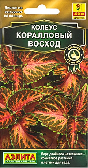 Колеус блюме Коралловый восход (Аэлита) 5 шт