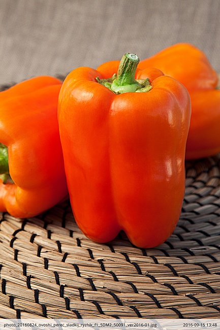 Перец сладкий Рыжик F1 (Селекция "ВХ") 0,1 гр цв.п.