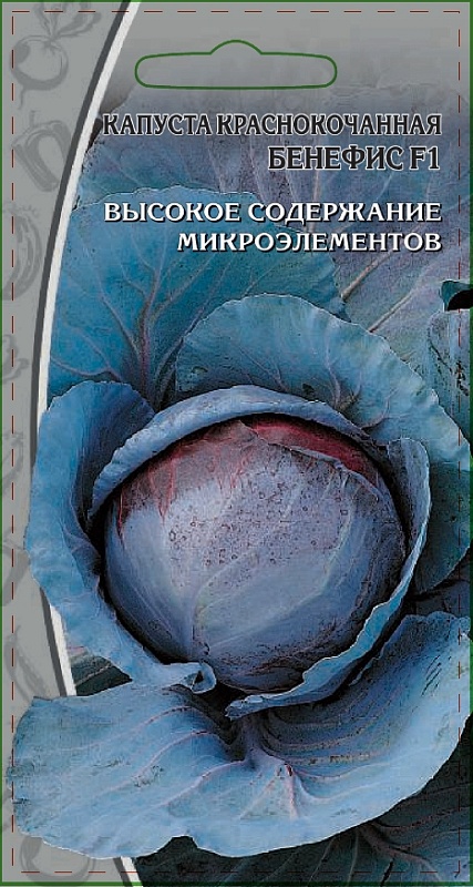Капуста краcнокочанная Бенефис F1 0,3 гр цв.п.
