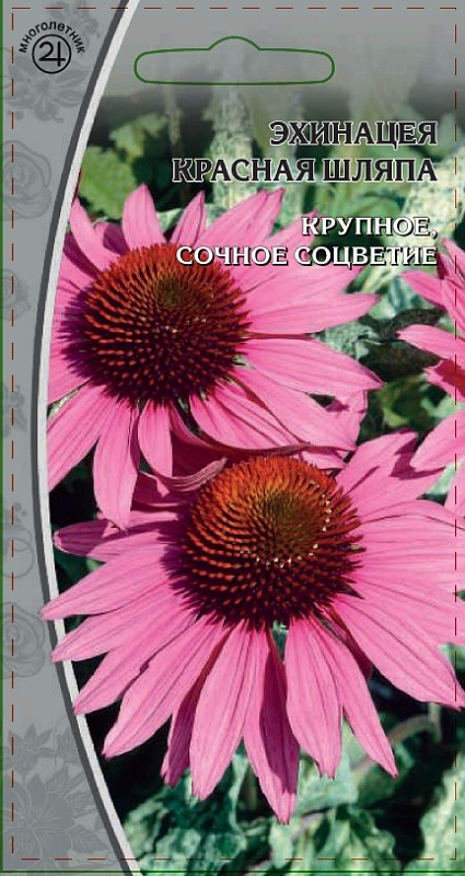 Эхинацея Красная шляпа 0,3 гр