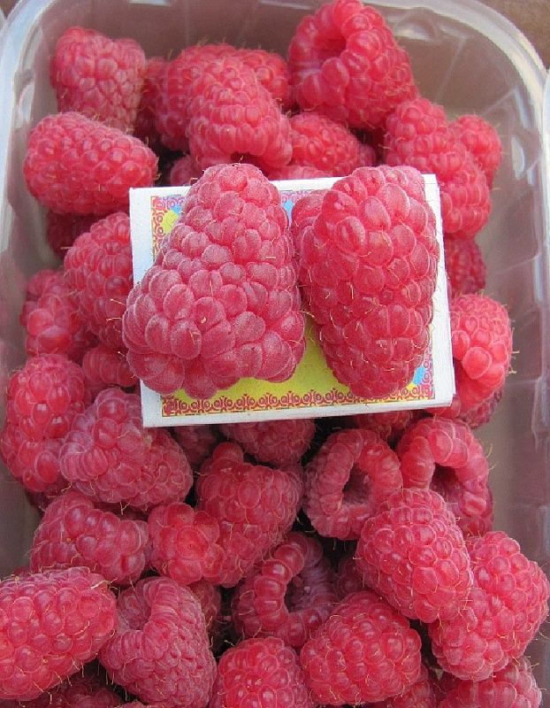 Малина Лячка 1 шт