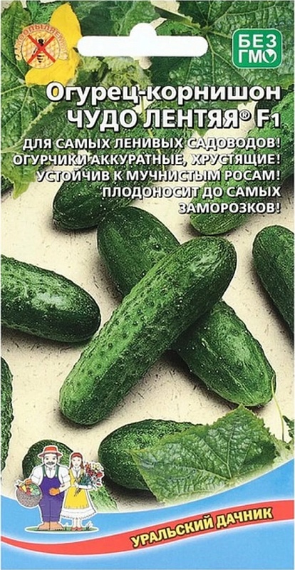 Огурец Чудо лентяя - корнишон F1 (УД) 6 шт цв.п