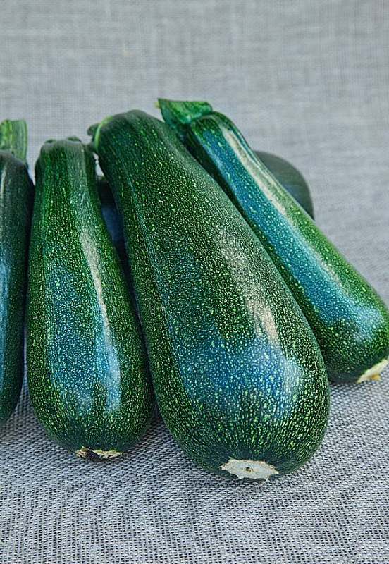 Кабачок Цукини Цукеша  1 гр  б.п